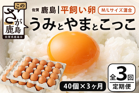 【定期便 3回】平飼い卵「うみとやまとこっこ」上田養鶏場 たまご40個 × 3ヶ月【合計120個】佐賀県鹿島産 卵 タマゴ E-128