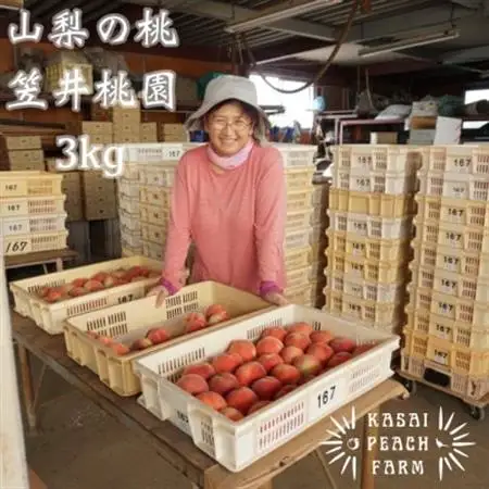 【2026年発送】厳選朝採り桃 山梨の笠井桃園の桃 3kg【配送不可地域：離島】【1456517】
