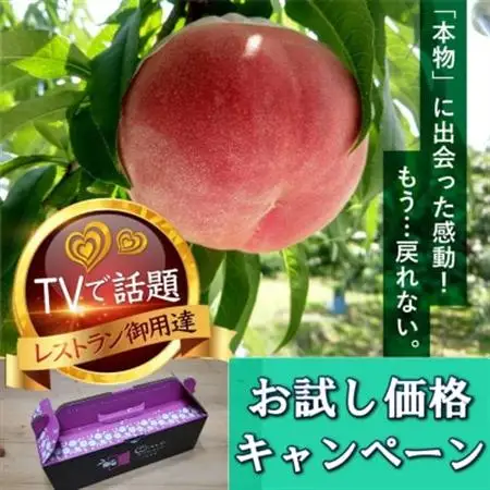 【お試しキャンペーン】5年連続TV出演で話題沸騰中『樹上完熟ブランド桃』2026年8月下旬より発送【配送不可地域：離島・北海道・沖縄県・中国・四国・九州】【1460000】
