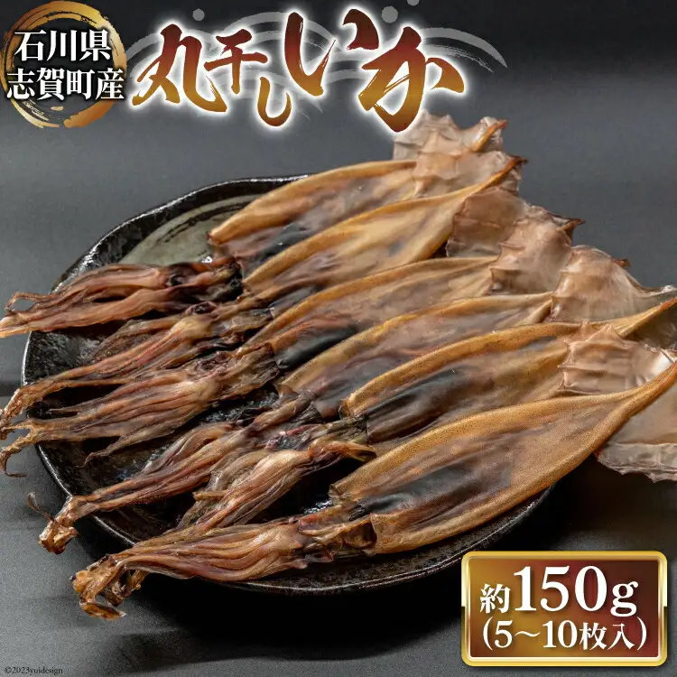 干物 丸干しいか 5～10枚 白化粧箱入り [西海水産 石川県 志賀町 AB4127]