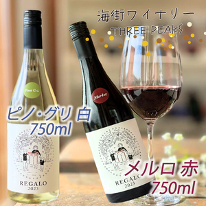 -大船渡で造るワイン- 赤白ワイン（メルロ / ピノ・グリ）2本セット 辛口 750ml お酒 アルコール ぶどう 葡萄 岩手県 大船渡市