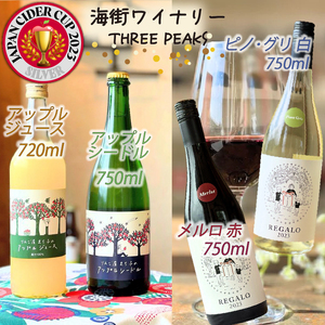 赤ワイン 白ワイン アップルシードル アップルジュース [4本セット] お酒 辛口 アルコール ぶどう 葡萄 りんご 林檎 リンゴジュース 岩手県 大船渡市