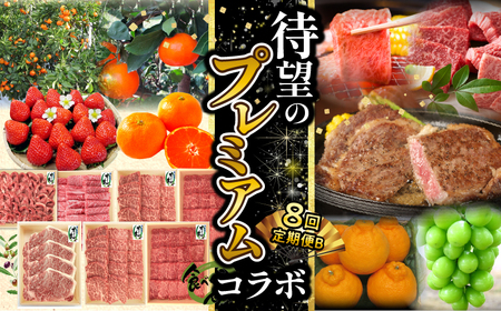 待望のプレミアムコラボ【8回】定期便CB