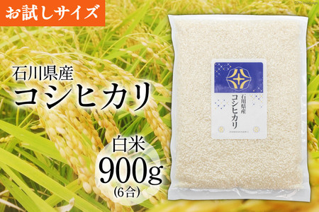 【期間限定発送】 米 令和7年 コシヒカリ 白米 900g(6合) [みどりの波 石川県 宝達志水町 38601231]