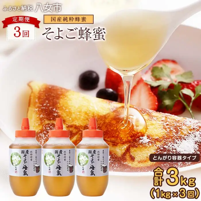 【全3回】 定期便 かの蜂 国産 そよご蜂蜜 合計3kg（とんがり容器1kgを毎月1本お届け） 024-T013