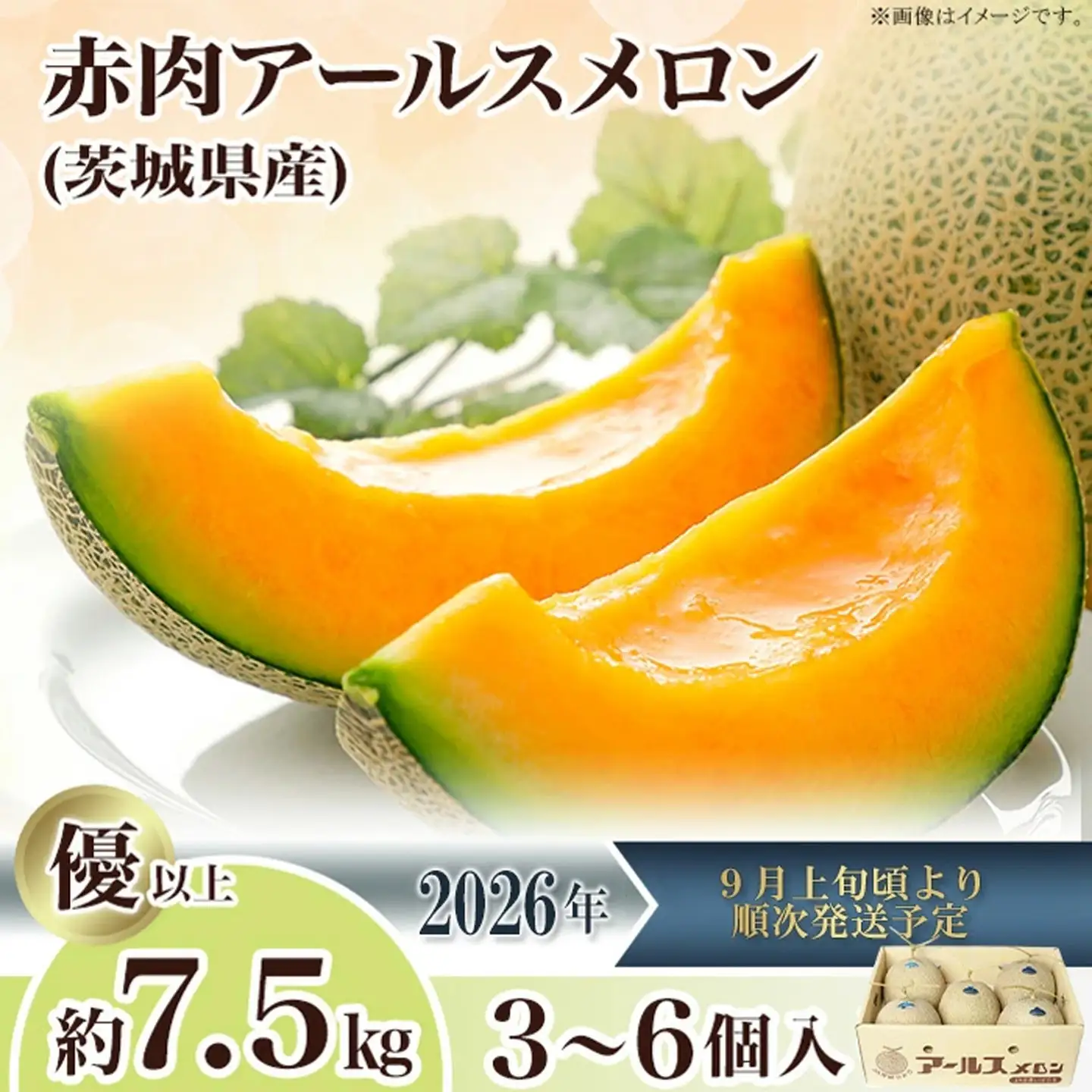 メロン 赤肉 茨城県産 R8年産 アールスメロン 約2.5kg 2個