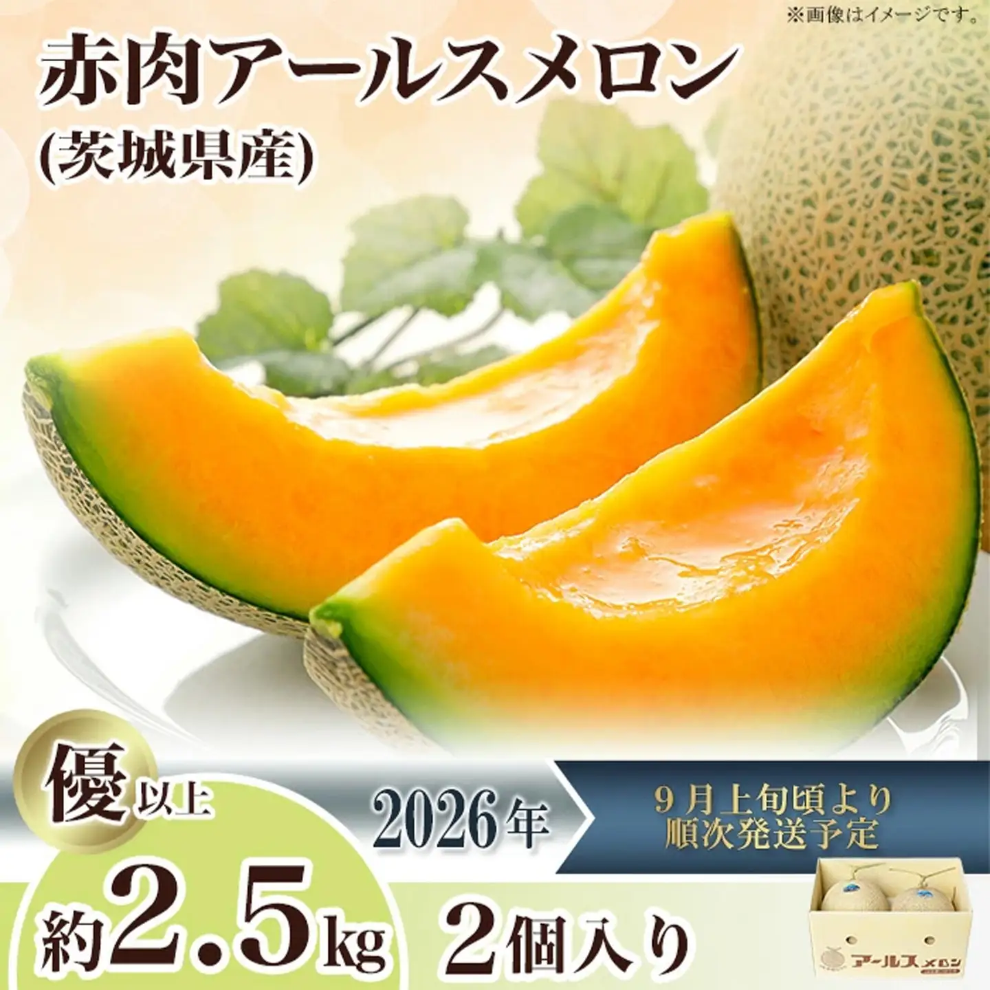 メロン 赤肉 茨城県産 R8年産 アールスメロン 約2.5kg 2個