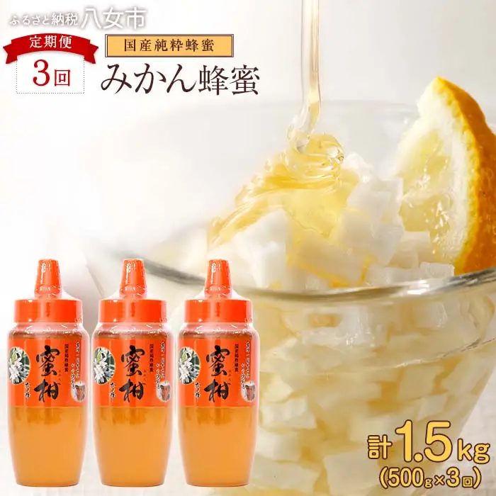 【全3回】 定期便 かの蜂 国産 みかん蜂蜜 合計1.5kg（とんがり容器500gを毎月1本お届け） 024-T016