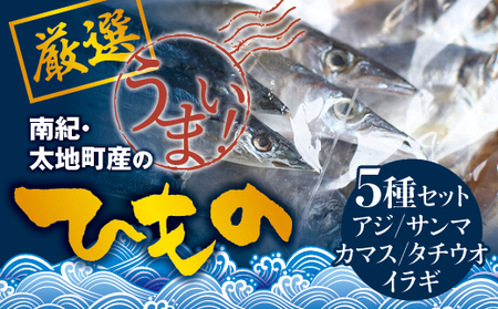塩崎商店のイチオシ干物 5種セット 創業80年！地元で愛される人気の干物 Jセット （アジ開き×2枚、サンマ開き×2枚、カマス開き×2枚、タチウオみりん干し100g、イラギみりん干し100g) ひもの【sio113A】