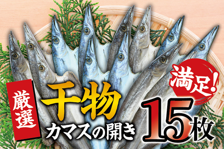 干物セット 満足の内容量！ カマスの開き15枚セット ／ 干物 ひもの カマス 家庭用 定番【sio114】