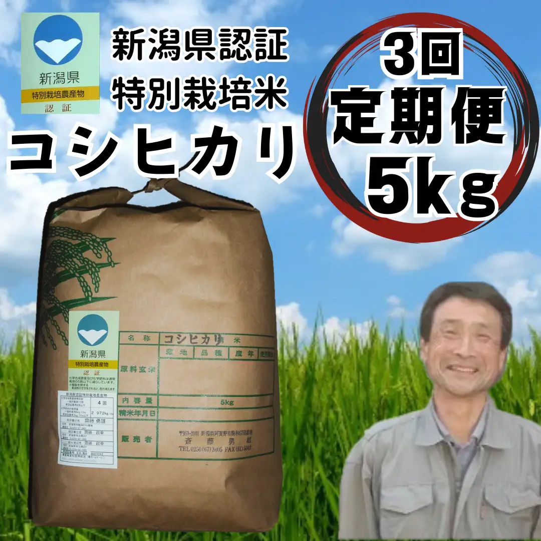 【令和7年産】【3か月定期便】特別栽培米 コシヒカリ 5kg×3回 新潟県認証 新潟県 米 こめ コメ 白米 精米 さいとう農園 1G14061