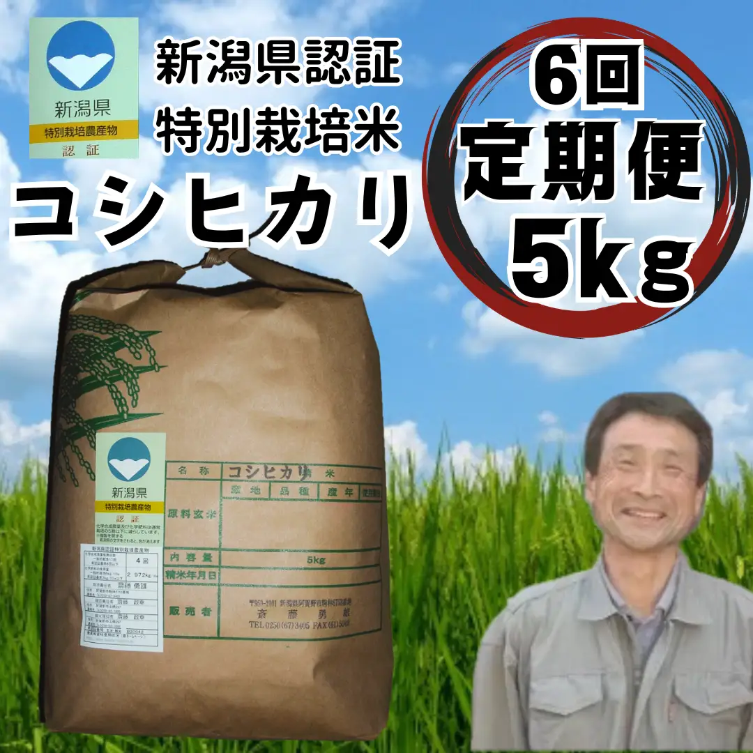 【令和7年産】【6か月定期便】特別栽培米 コシヒカリ 5kg×6回 新潟県認証 新潟県 米 こめ コメ 白米 精米 さいとう農園 1G15121