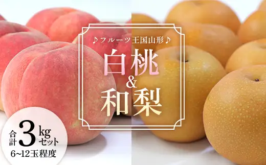 【先行予約 2026年度発送】♪フルーツ王国山形♪ 白桃・和梨セット なし デザート フルーツ 果物 くだもの 果実 食品 山形県 FSY-2554