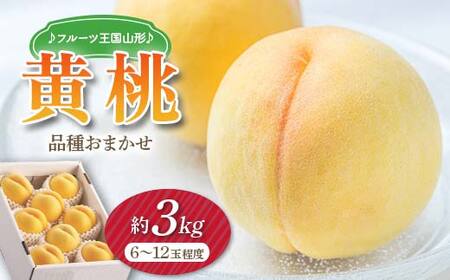 【先行予約 2026年度発送】♪フルーツ王国山形♪黄桃 もも モモ 桃 デザート フルーツ 果物 くだもの 果実 食品 山形県 FSY-2479