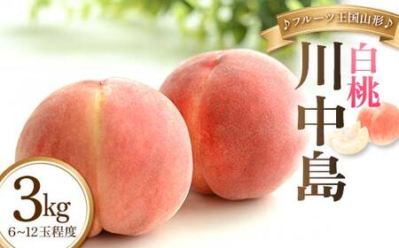【先行予約 2026年度発送】♪フルーツ王国山形♪白桃（川中島） もも モモ 桃 デザート フルーツ 果物 くだもの 果実 食品 山形県 FSY-2478