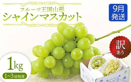 【先行予約 2026年度発送】♪フルーツ王国山形♪ 訳あり シャインマスカット 1kg 9月発送 マスカット ぶどう ブドウ 葡萄 デザート フルーツ 果物 くだもの 果実 食品 山形県 FSY-2557