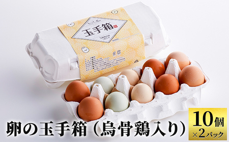 卵の玉手箱（烏骨鶏入り）10個×2パック 天然記念物 美味しい 濃厚 甘み 臭み ゆで卵 生卵 卵かけごはん 日本三大地鶏 名古屋コーチン 赤卵 有精卵 