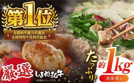 和牛 極上厳選！受賞歴多数 しまね和牛 徳用ホルモン(1kg) 島根県松江市/株式会社O.R.C[ALEF005] 和牛 和牛