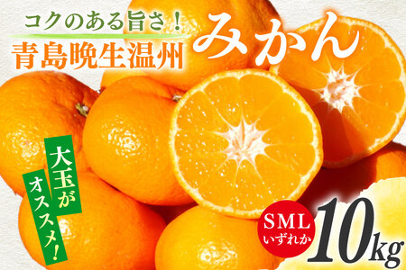 【期間限定発送】 みかん 10kg コクのある甘さ うまぁ〜い！！青島晩生温州みかん S・M・Lいずれか [黒田農園 宮崎県 日向市 452061305]