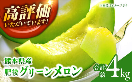 肥後グリーンメロン2玉熊本メロンめろんZCN003