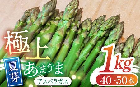【2026年】 5～9月配送 極上あまうま 夏芽 アスパラガス M～L 1kg （40～50本）【Nature-falo】熊本県産 夏芽アスパラガス アスパラ 極上 国産 [ZEQ002]