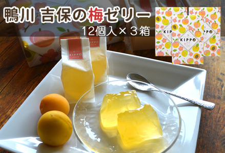 【鴨川吉保梅の里の南高梅】吉保の梅ゼリー 12個入り×３箱 [0010-0297]