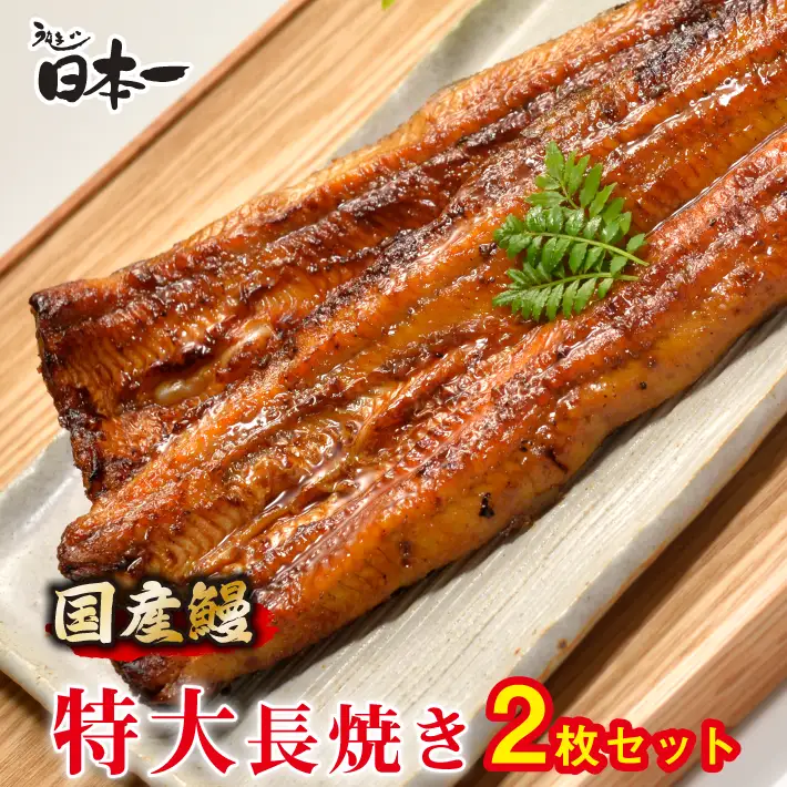 【日本一】国産うなぎ　特大長焼き2枚セット No.194