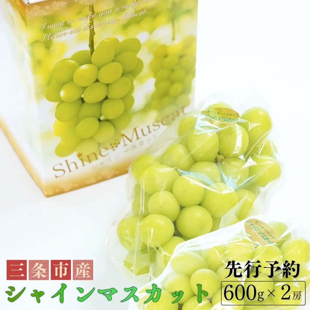 先行予約 シャインマスカット 約600g×2房 令和8年度 新潟県産 種なし ぶどう マスカット JAえちご中越
