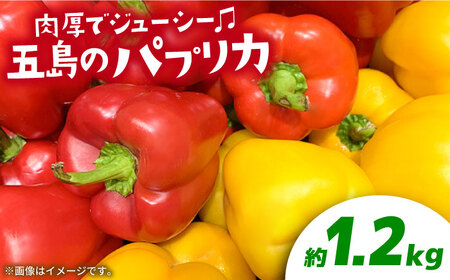 【肉厚ジューシー】五島のパプリカ 約1.2kg 五島市/HPIファーム  [PCP007]  野菜 やさい 国産 新鮮 緑黄色野菜 産地直送 とれたて