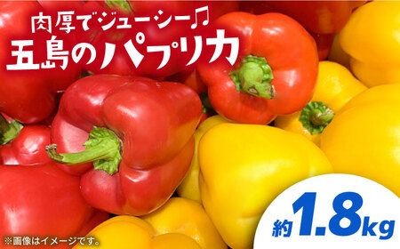 【肉厚ジューシー】五島のパプリカ 約1,8kg 五島市/HPIファーム  [PCP008]  野菜 やさい 国産 新鮮 緑黄色野菜 産地直送 とれたて