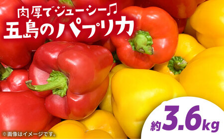【肉厚ジューシー】五島のパプリカ 約3.6kg 五島市/HPIファーム  [PCP010]  野菜 やさい 国産 新鮮 緑黄色野菜 産地直送 とれたて