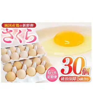 純国産鶏【さくら】純たまご30個入り 破損保証5個を含む【6ヶ月連続お届け】 (AJ029) 国産 卵 産地直送 たまご 飼料にこだわった 玉子 鶏卵