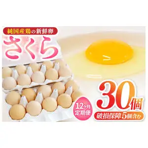純国産鶏【さくら】純たまご30個入り 破損保証5個を含む【12ヶ月連続お届け】 (AJ030) 国産 卵 産地直送 飼料にこだわった 鶏卵
