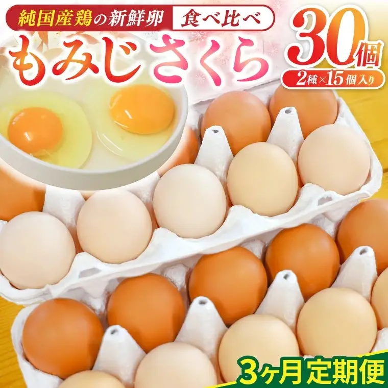 純国産鶏【さくらともみじ】純たまご30個入り 破損保証5個を含む【3ヶ月連続お届け】 (AJ032) 国産 卵 産地直送 飼料にこだわった 鶏卵