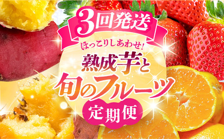 【先行予約】【3回定期便】 ほっこり幸せ！熊本・山鹿のあま〜い冬支度　熟成芋と旬のフルーツ [ZZZ001]   さつまいも みかん いちご