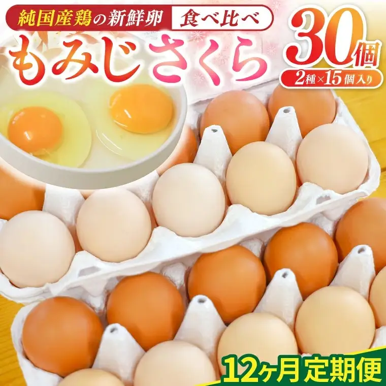 純国産鶏【さくらともみじ】純たまご30個入り 破損保証5個を含む【12ヶ月連続お届け】 (AJ034) 国産 卵 産地直送 飼料にこだわった 鶏卵