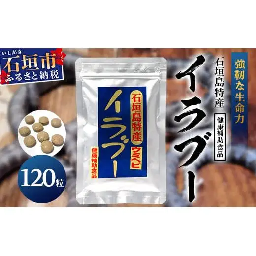 石垣島産「イラブー(海ヘビ)」粉末 120粒入り袋　健康補助食品・約1ヶ月分　SI-35