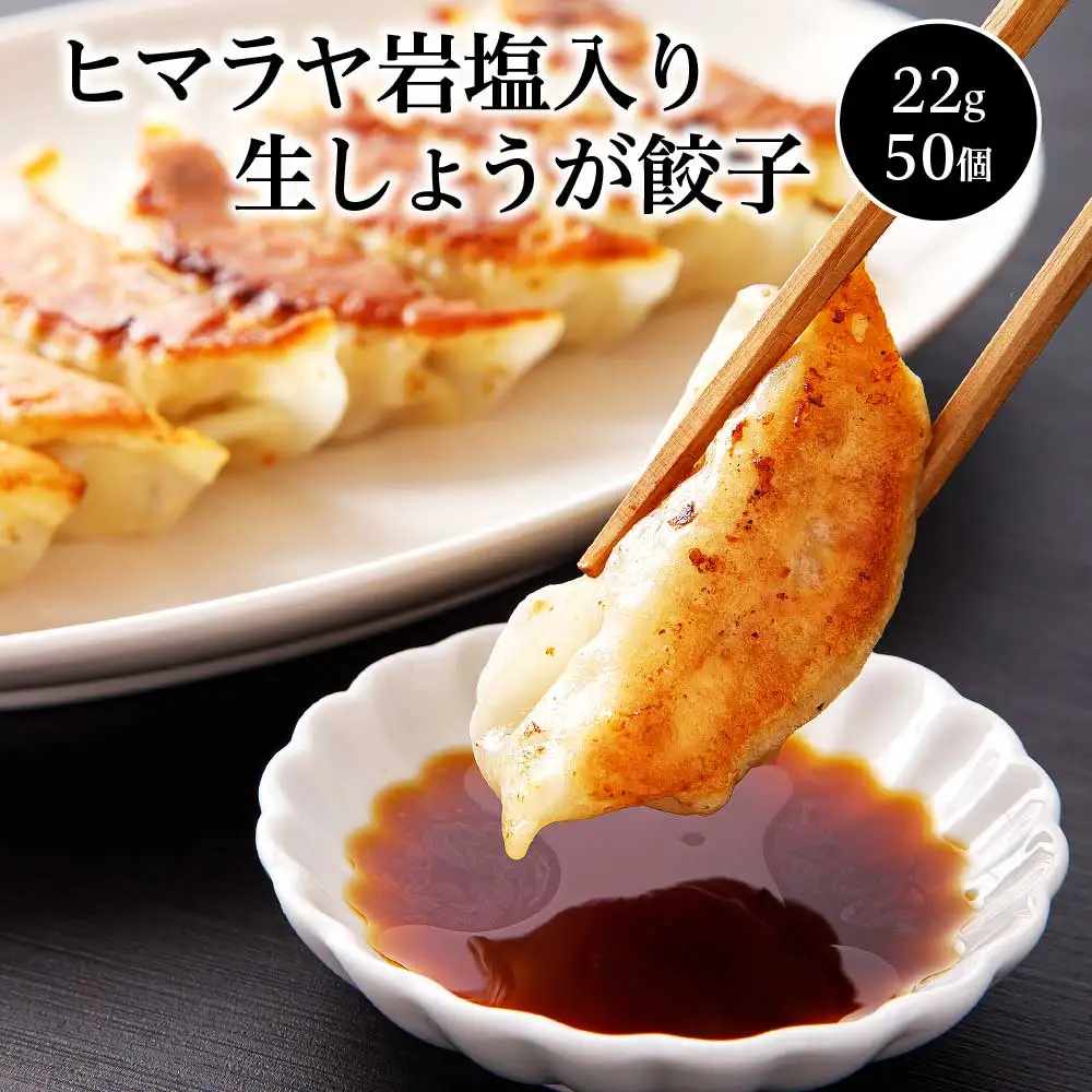 ヒマラヤ岩塩入り生しょうが餃子(22g×50個)　【07208-0283】