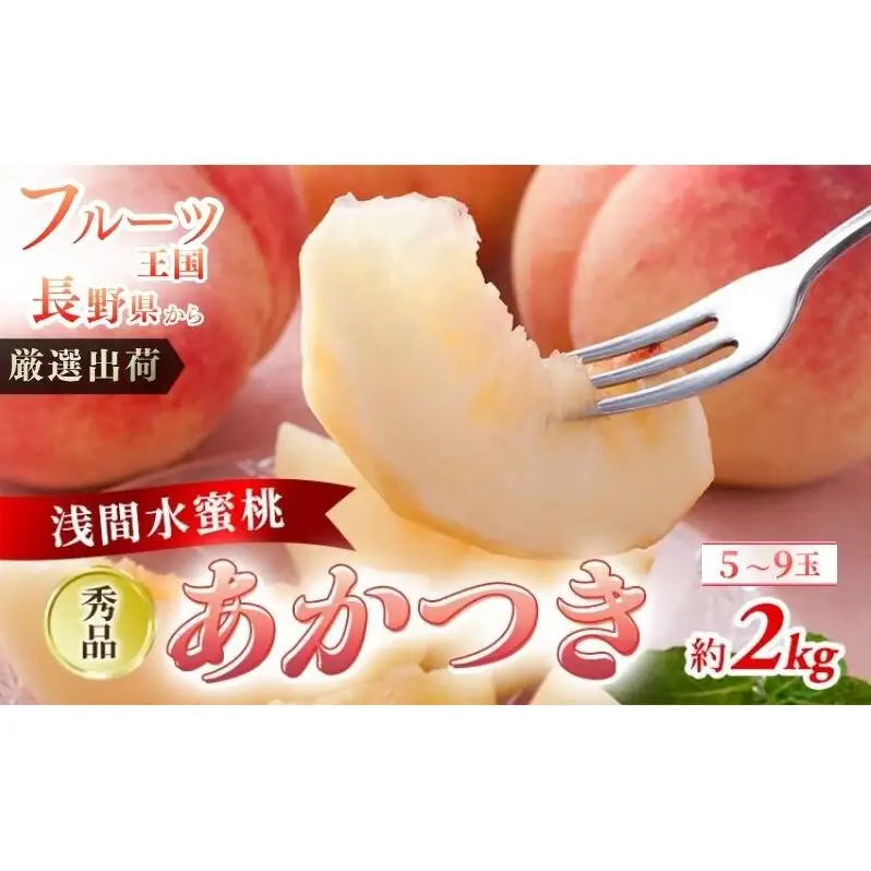 2026年発送 先行予約 「浅間水蜜桃プレミアム」 もも あかつき 秀品 約2kg 5～9玉 贈答品 ふるさと納税 果物 桃 フルーツ モモ 果肉  長野県産 小諸市