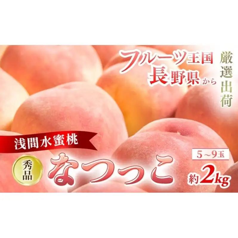 2026年発送 先行予約 「浅間水蜜桃プレミアム」 もも なつっこ 秀品 約2kg 5～9玉 贈答品 ふるさと納税 果物 桃 フルーツ モモ 果肉  長野県産 小諸市 