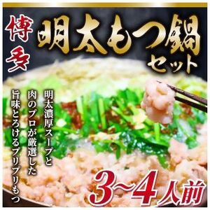 博多明太もつ鍋セット3～4人前セット【明太子100g×1個付き】[H0092]