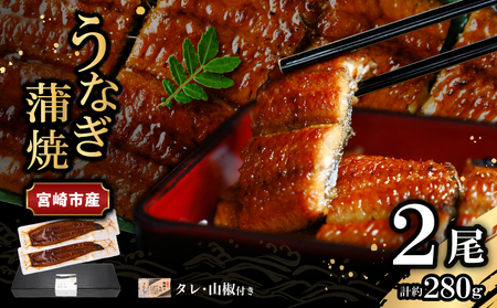 うなぎ 蒲焼 うなぎ[国産 2尾 280g]