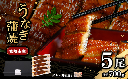 うなぎ 国産 蒲焼 5尾 うなぎ[700g]
