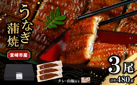 うなぎ 国産 蒲焼 3尾 うなぎ[480g]