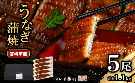 うなぎ 蒲焼 うなぎ[国産 5尾 1.1kg]