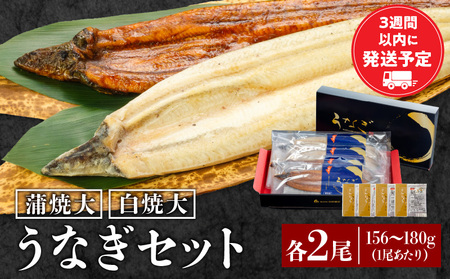 うなぎ 蒲焼・白焼き うなぎ[国産 各2尾]