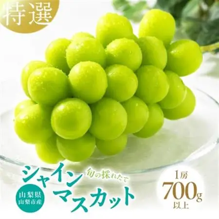 【2026年発送】山梨県山梨市産　特選　旬の採れたてシャインマスカット1房　(700g以上)【配送不可地域：離島】【1134844】