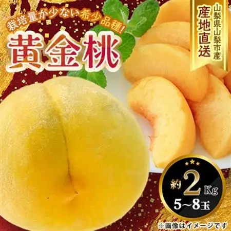 【ふるさと納税】2026年発送 山梨県山梨市産 黄桃 黄金桃 約2kg 5玉～8玉【配送不可地域：離島】【1328634】