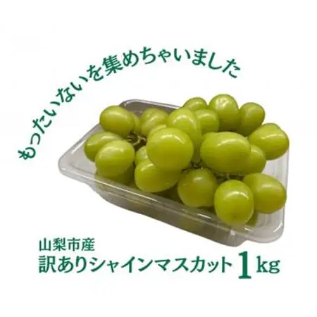 【2026年発送】訳あり 粒 シャインマスカット 約1kg【配送不可地域：離島・沖縄県】【1419892】