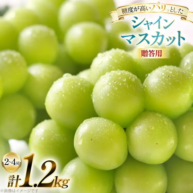 【期間限定発送】 シャインマスカット 贈答用 2～4房 1.2kg [田制農園 山形県 高畠町 tk06ayt230002]